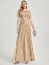 Champagne Gold Sequin Tulle Mermaid Evening Dress-Nomi